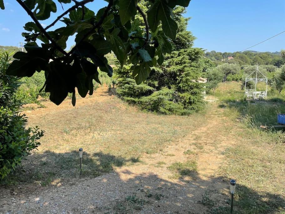 Bastide Provencale Dans Les Vignes Villa Le Castellet  Eksteriør bilde